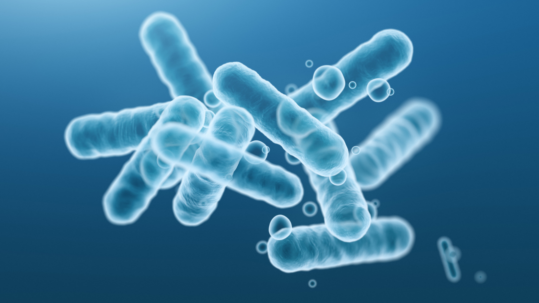 Close-up of 3d rendering microscopic blue bacteria.