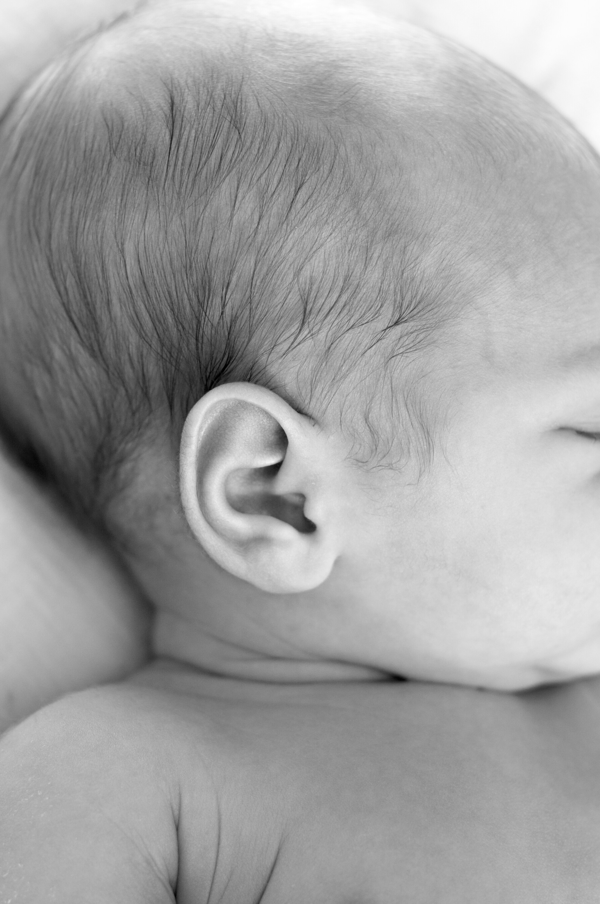 Newborn baby ear
