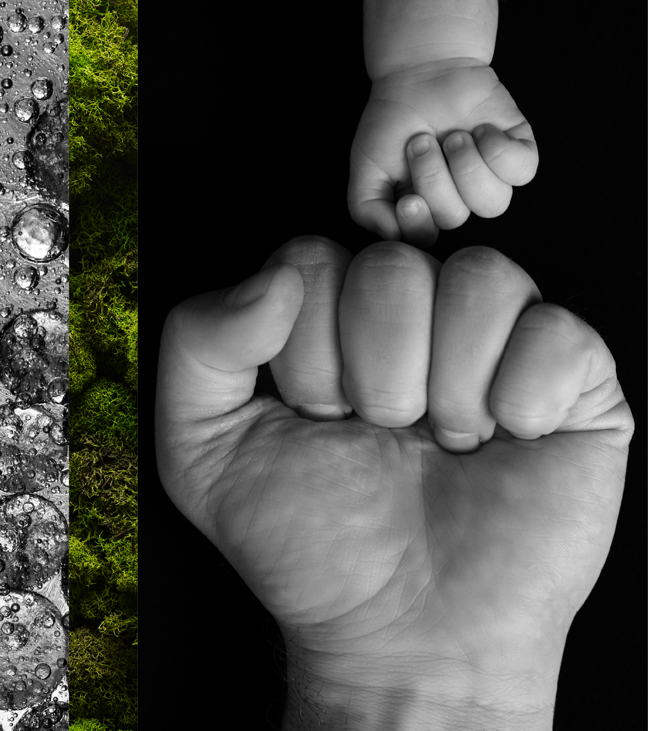 Newborn's fist in front of dad's fist on black background.