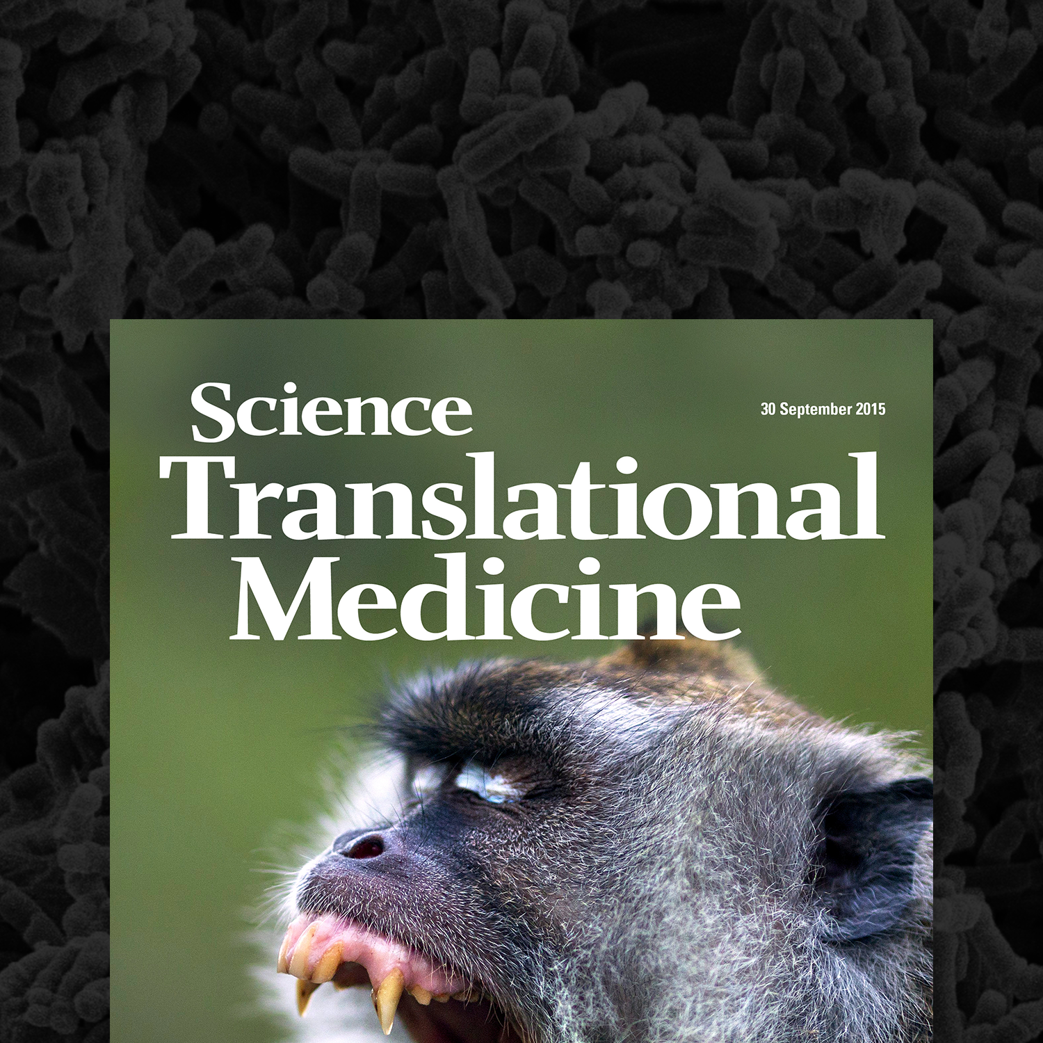 Publication Cover