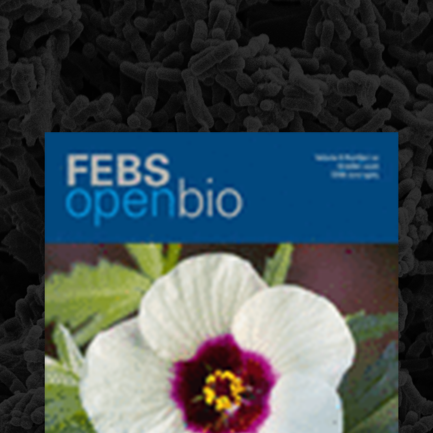 Open Bio Publication Cover