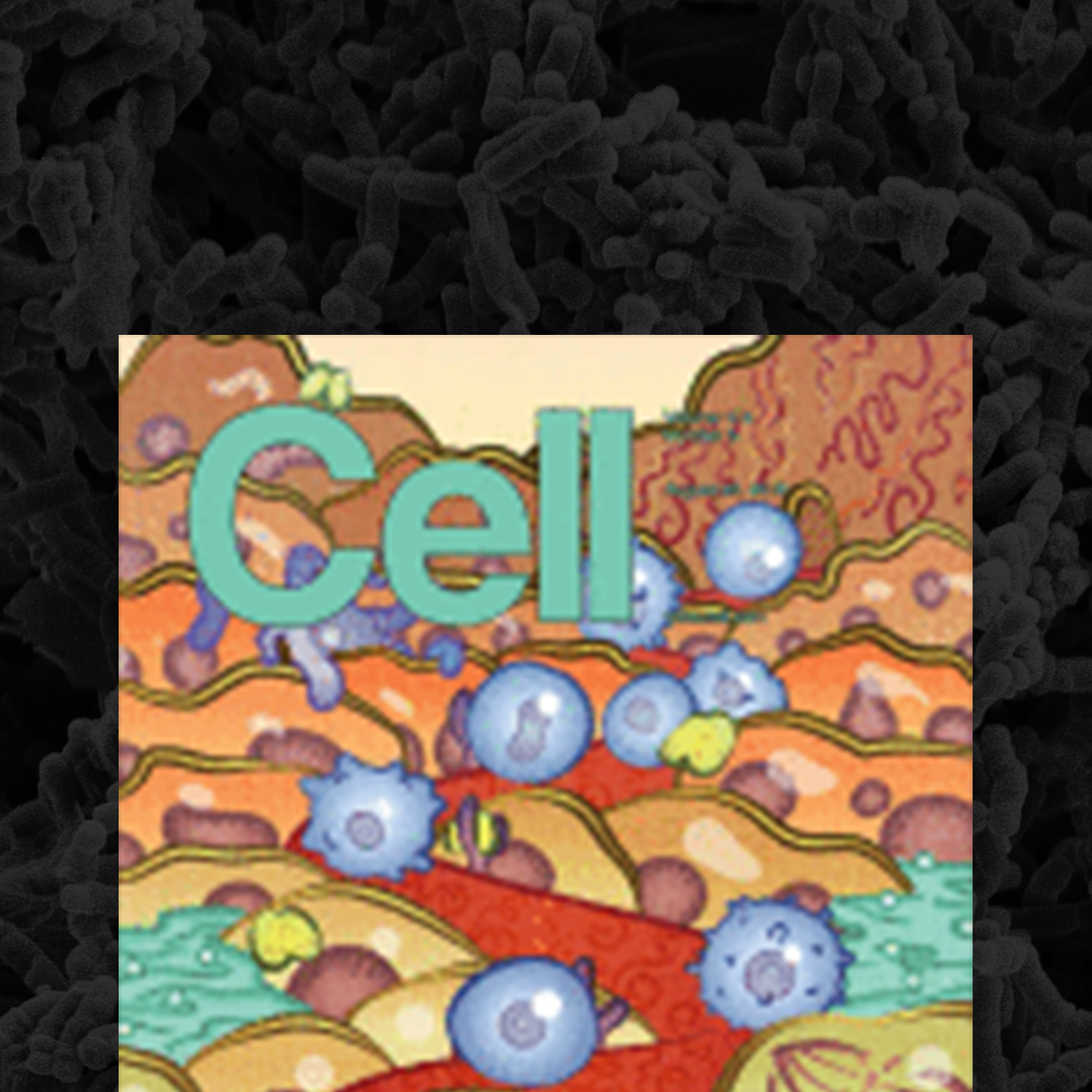 Cell publication cover