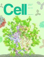 Cell publication cover