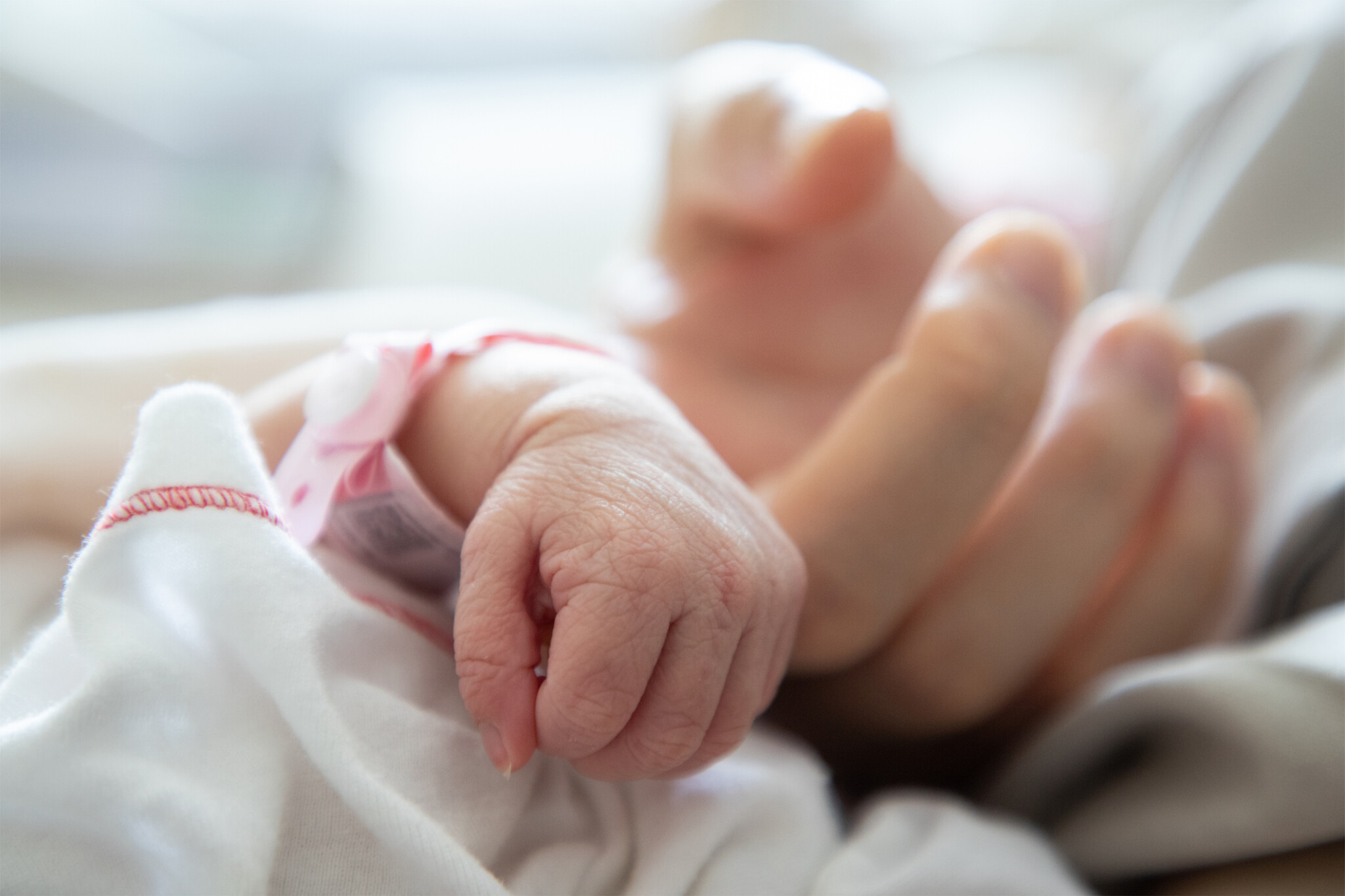 Up close of new born baby hand hold mother's finger