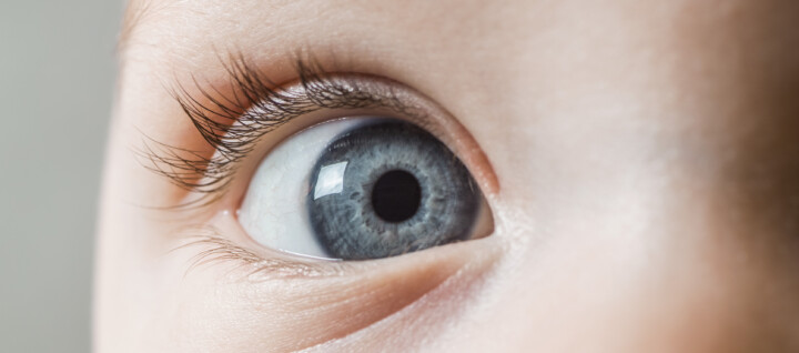 Extreme close up of a baby's eye looking into the camera.